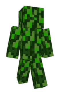Geccio Minecraft avatar full body