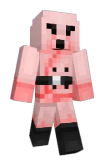 Geewizii Minecraft avatar full body
