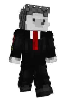 Gei Minecraft avatar full body