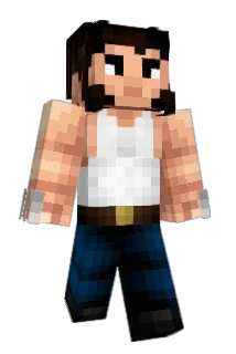 Gekooktesteen Minecraft avatar full body