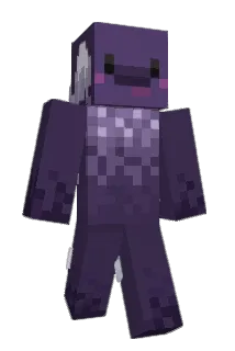 Gen1s_1 Minecraft avatar full body