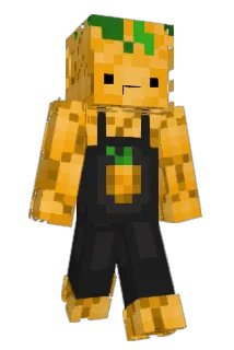 GerbinDaVin Minecraft avatar full body