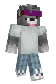 GetBONKED Minecraft avatar full body