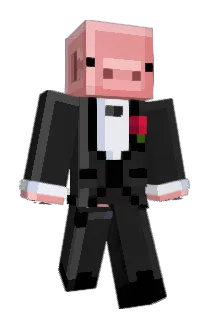 Getsetheperson Minecraft avatar full body