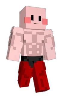 Gettus29 Minecraft avatar full body