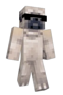 GewoonNaomi Minecraft avatar full body