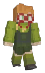 Custom render preview