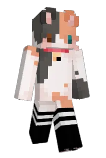 Ghost_4041 Minecraft avatar full body
