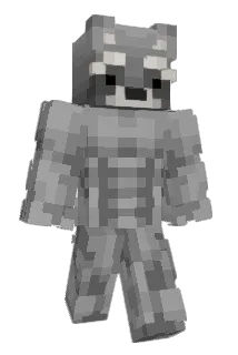 Gijjo Minecraft avatar full body