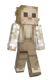 Gingahm Minecraft avatar full body