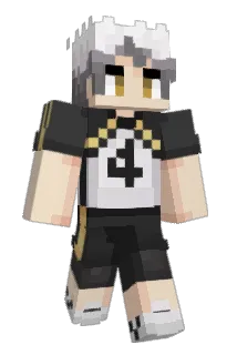 Ginimy Minecraft avatar full body