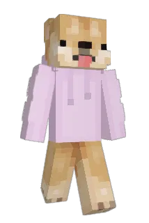 Ginsso Minecraft avatar full body