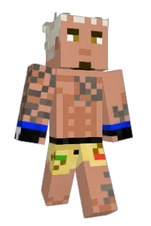 Glassless_Window Minecraft avatar full body