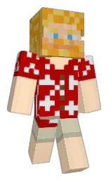 Custom render preview