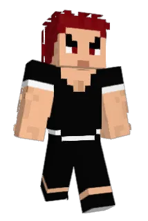 Goatbro49 Minecraft avatar full body