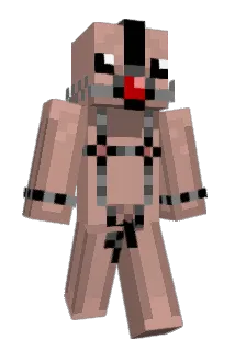 Goinko Minecraft avatar full body