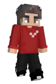 Google_Dou Minecraft avatar full body