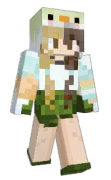 Custom render preview