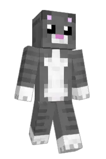 Gr3ykitt3n Minecraft avatar full body