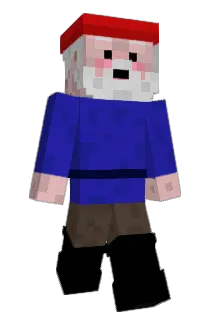 Gra1nn Minecraft avatar full body