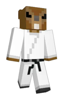 Graffitiest420 Minecraft avatar full body