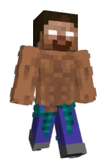 GrandmaGoku Minecraft avatar full body