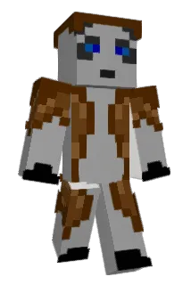 GrandmasterBooda Minecraft avatar full body