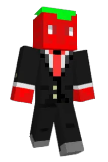 Gravity_V2 Minecraft avatar full body