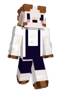 Grayrg02 Minecraft avatar full body
