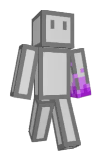 GraysonW9 Minecraft avatar full body
