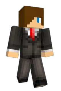 Graysonandflip Minecraft avatar full body