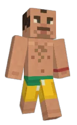 Custom render preview