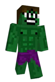 Greenbag Minecraft avatar full body