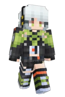 Greninjasn Minecraft avatar full body
