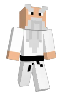 GreyCatt Minecraft avatar full body