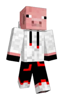 Gris1333 Minecraft avatar full body