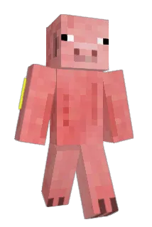 GrisekodDk Minecraft avatar full body