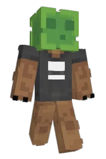 Groot_t Minecraft avatar full body