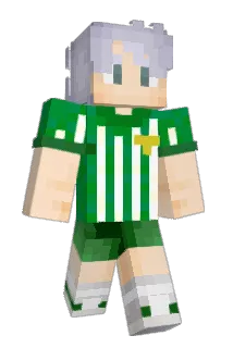 Groovysinho Minecraft avatar full body