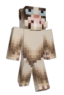 Grumpy_Cat_125 Minecraft avatar full body