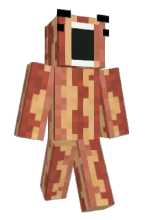 Grumpycat17 Minecraft avatar full body