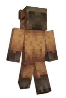 Grunty101 Minecraft avatar full body