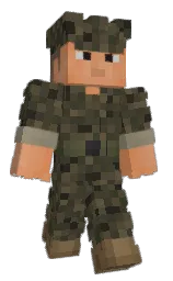 Custom render preview