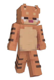 GuangDONG Minecraft avatar full body