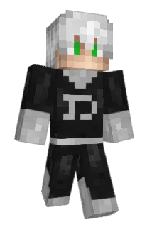 Guerreropro Minecraft avatar full body