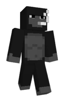 GuiBrNinja Minecraft avatar full body