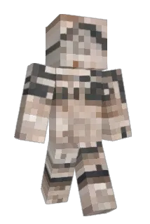 GuilleP51 Minecraft avatar full body