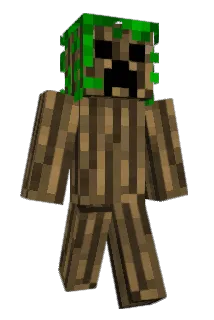 Gulborg Minecraft avatar full body