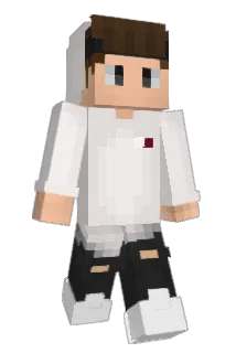 Gurbedurbie Minecraft avatar full body