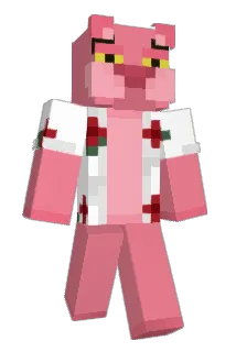 Gyral Minecraft avatar full body